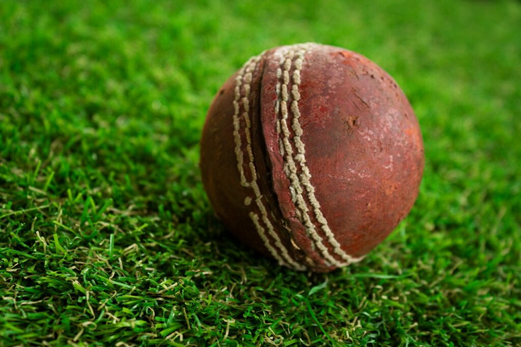 Pro Leather Match Cricket Ball